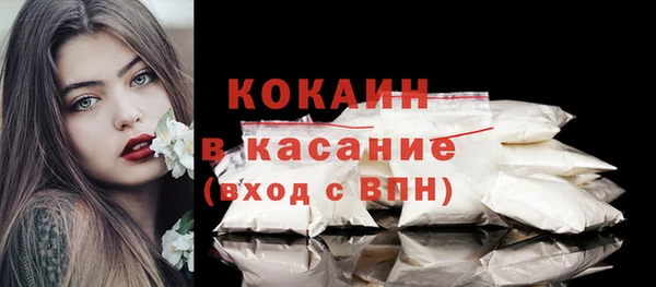 PSILOCYBIN Заводоуковск