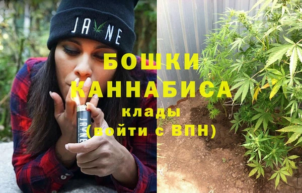 PSILOCYBIN Заводоуковск