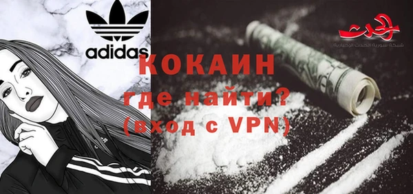 PSILOCYBIN Заводоуковск