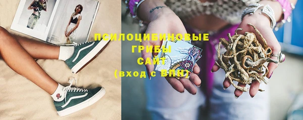 PSILOCYBIN Заводоуковск