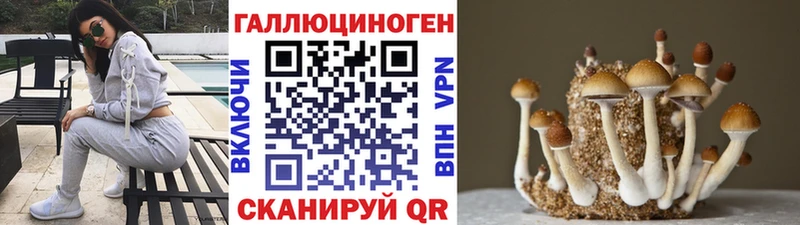 Галлюциногенные грибы Psilocybe  блэк спрут зеркало  Рыбинск 